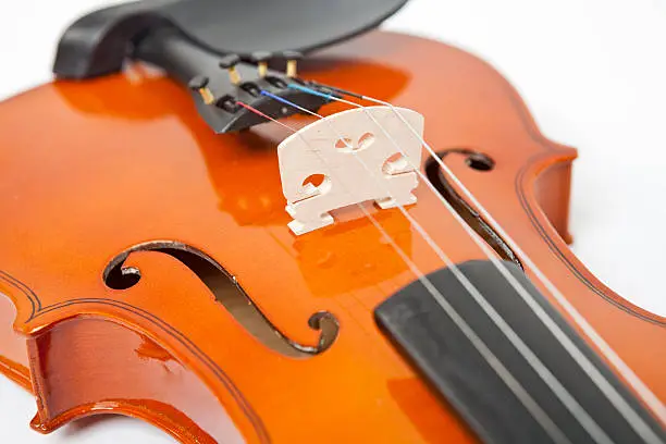 Strings & Body Violin