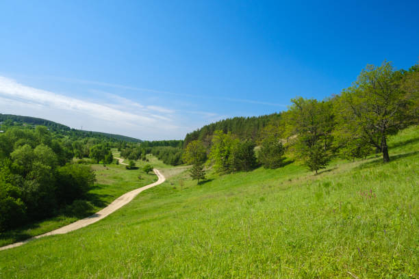 istock rural road going into the distance between green hills with trees 1852541678