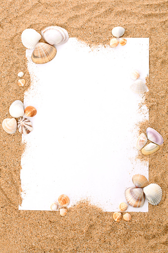 Sea Shell on Beach with Sunshine Day on Blue sea Background,Conch Seashell on Texture Sand Summer with Water Ocean at Coast,Frame Tropical Travel Holidays Free Space,for Tourism Relax Vacation Nature.