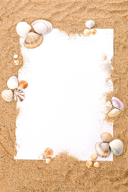 Summer beach concept Piece of paper and seashells on the sand animal shell photos stock pictures, royalty-free photos & images