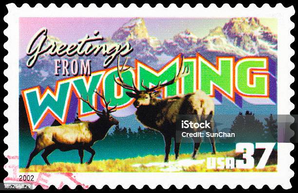 Photo libre de droit de État Du Wyoming banque d'images et plus d'images libres de droit de Se saluer - Se saluer, Wyoming, Horizontal
