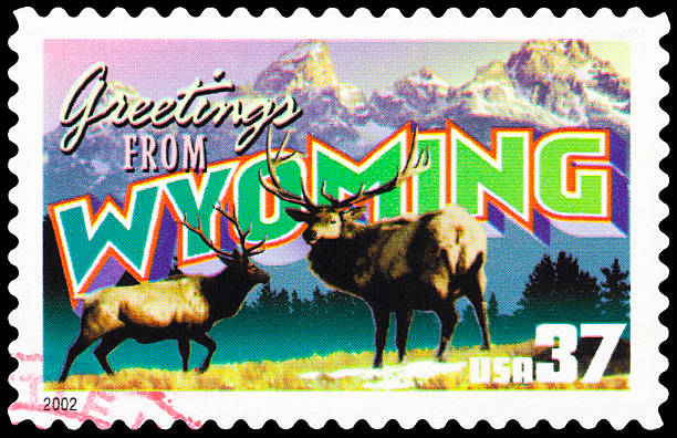 istock State of Wyoming 185254829