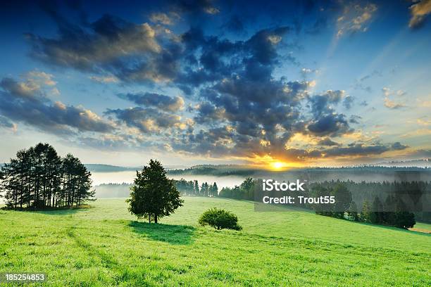 緑の牧草地で山のスロープに霧の夜明け - かすみのストックフォトや画像を多数ご用意 - かすみ, ドラマチックな空模様, 丘