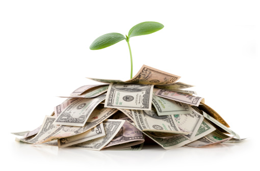 Growing investments. Heap of money with seedling.Some similar pictures from my portfolio: