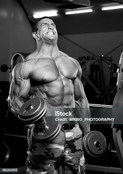 Body Builder Training Mit Gewichten Im Fitnessstudio Stockfoto und mehr Bilder von Aktiver Lebensstil