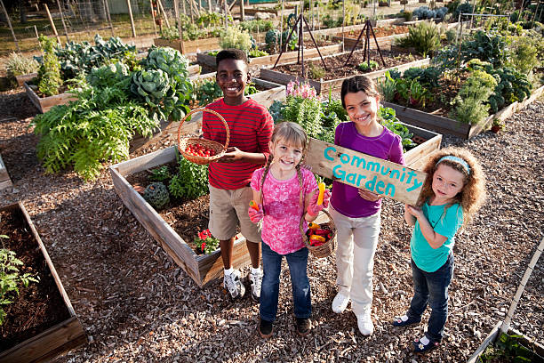 Children holding community garden sign Multi-ethnic children (8, 10 and 11 years) at community garden, holding sign. community vegetable garden stock pictures, royalty-free photos & images
