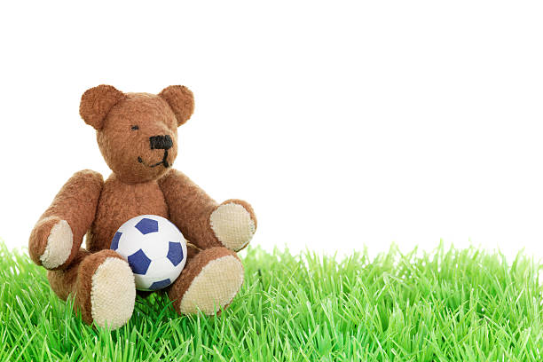 teddy bear sitting on grass with soccer on white background