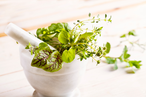 fresh herbs such as watercress oregao and sorrel, mortal and pestle