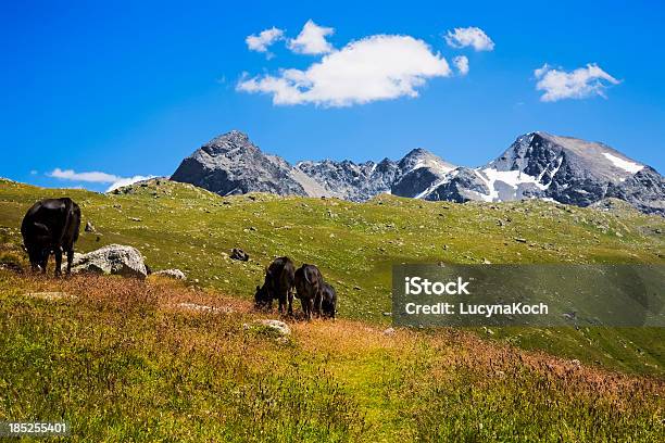 Die Berge Im Sommer Stockfoto und mehr Bilder von Alpen - Alpen, Berg, Berggipfel