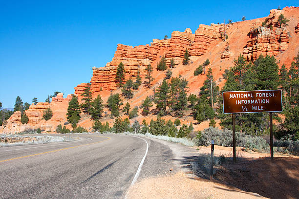 istock Red Canyon. Utah. USA. 185255636
