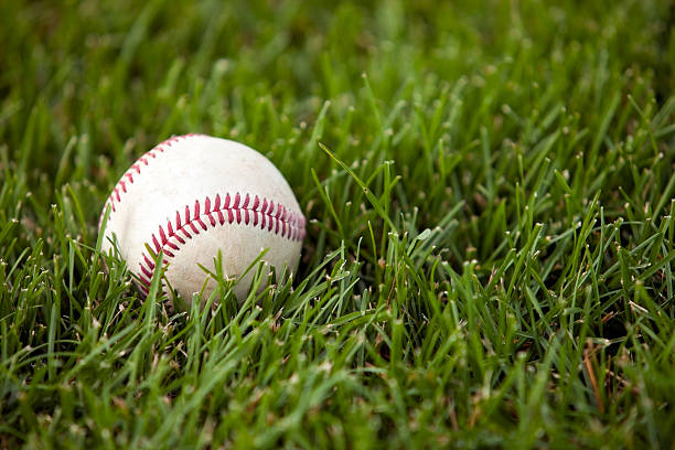 istock Baseball Rests in Outfield Grass 185255692