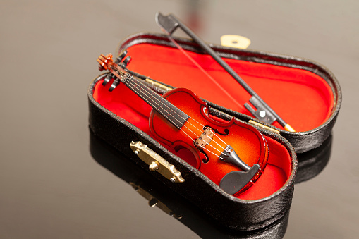 violin with bow in red velvet case.