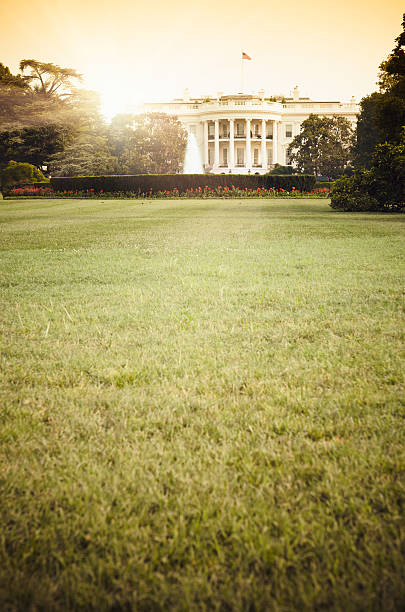istock White House in Washington DC at sunset 185256110