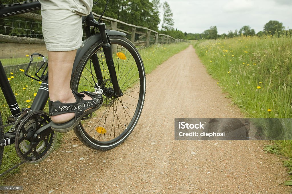 Jeździć na rowerze - Zbiór zdjęć royalty-free (Odlotowy styl)