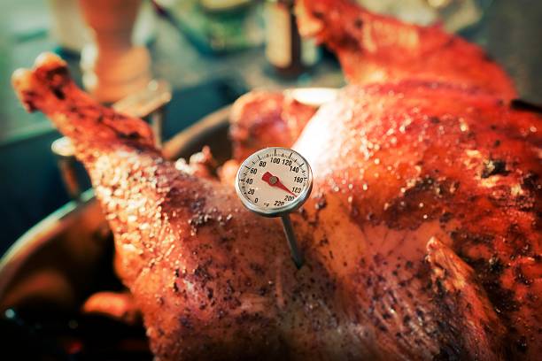 istock Baked Turkey with Thermometer detail effect 185257176