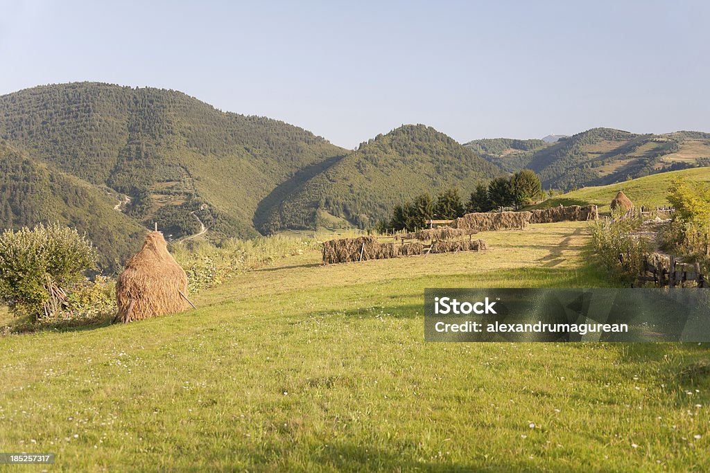 Cena Rural - Royalty-free Agricultura Foto de stock