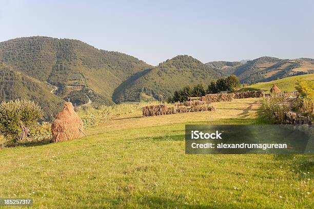 Cena Rural - Fotografias de stock e mais imagens de Agricultura - Agricultura, Ao Ar Livre, Beleza