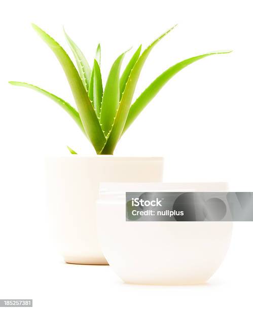 Aloeveracreme Stockfoto und mehr Bilder von Blechdose - Blechdose, Creme, Aloe