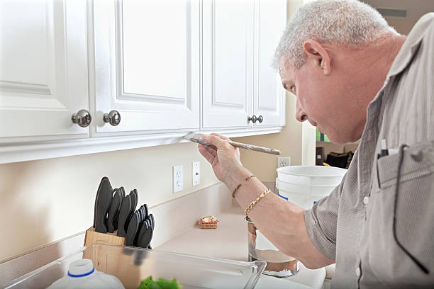 Construction: Handyman painting cabinet trim Handymman putting up cabinet trimBuilding and Construction jodijacobson stock pictures, royalty-free photos & images