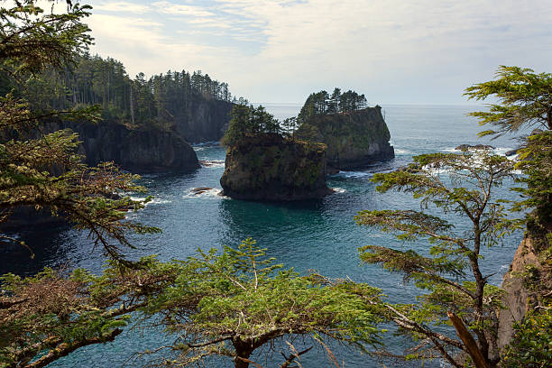 230+ Capo Flattery Foto stock, immagini e fotografie royaltyfree iStock