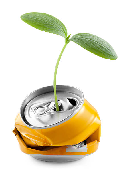 Recycling. Seedling into a can. Recycling. Seedling into a can.Similar photographs from my portfolio: canister photos stock pictures, royalty-free photos & images