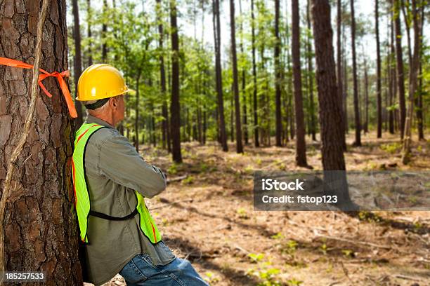 Selvicoltore O Il Generatore Di Alberi Marking Con Nastro Arancione - Fotografie stock e altre immagini di Adulto