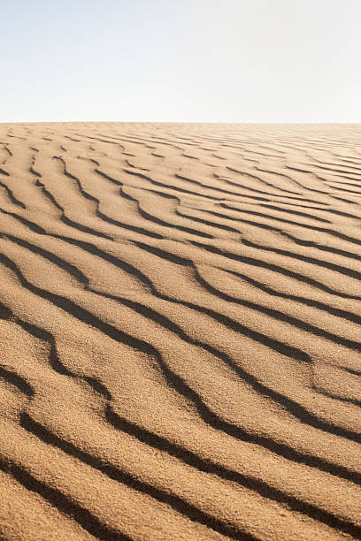 desert - sahara desert coastline wind natural pattern photos et images de collection