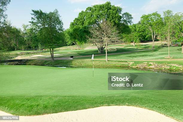 Campo De Golf Foto de stock y más banco de imágenes de Agujero - Agujero, Ajardinado, Arena