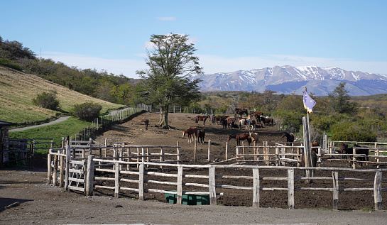 Ranch at Parque Nacional Torres del Paine