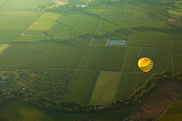 の上を飛ぶ熱気球、カリフォルニア州ナパバレー - hot air balloon california napa napa valley ストックフォトと画像