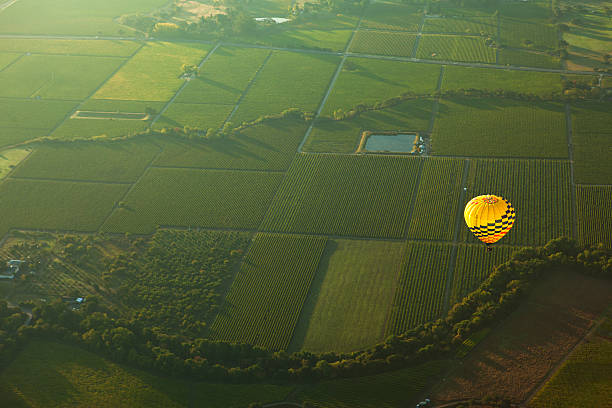 열기구 over napa valley, 캘리포니아 - vineyard napa valley agriculture sunset 뉴스 사진 이미지