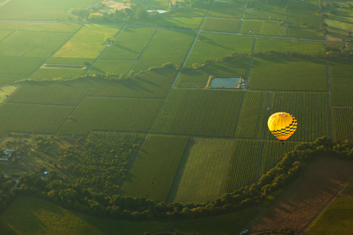 A hot air ballon floats over beautiful vineyards in Napa Valley California as the sunrises.