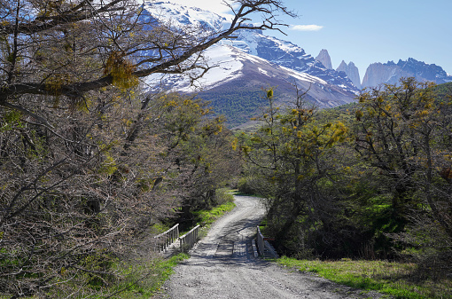 The view of Hiking trail in Torres del Paine National Park, Chile (Parque Nacional Torres del Paine)