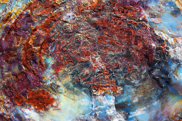 Petrified Wood Fossil "Detail of petrified wood colorful crystal patterns, Petrified Forest National Park, Arizona, USA." petrified wood stock pictures, royalty-free photos & images