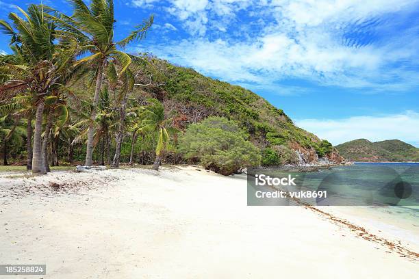 Photo libre de droit de Malcapuya Island Beach banque d'images et plus d'images libres de droit de Arbre - Arbre, Arbre tropical, Asie