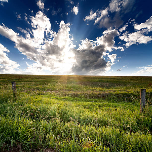 rurais rural - grandchester imagens e fotografias de stock