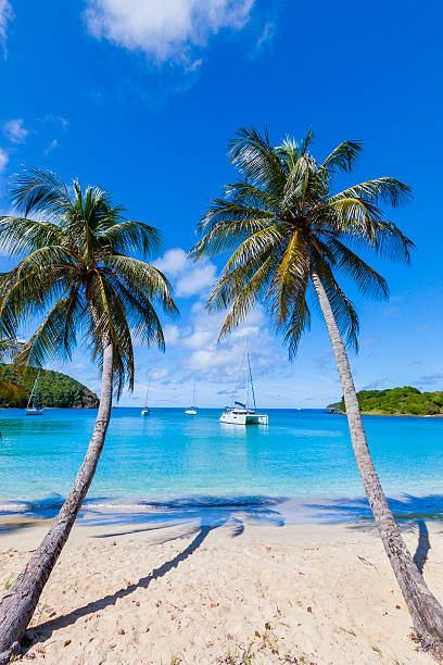 baía de salt whistle, mayreau - ilha mayreau - fotografias e filmes do acervo