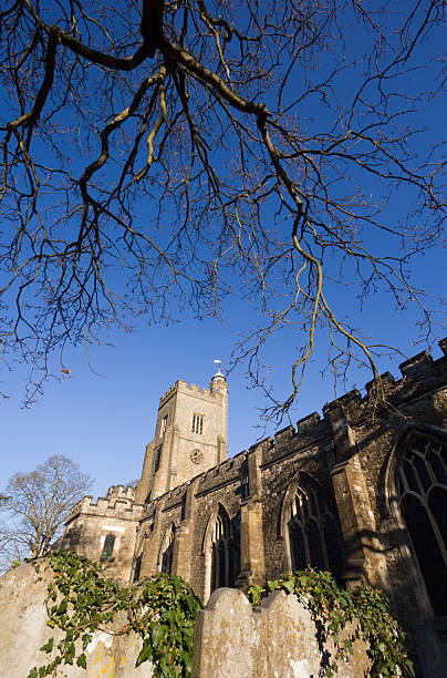 St Nicholas Church in Sevenoaks, England The spire of this ancient Norman church is covered in morning sunlight norman uk tree sunlight stock pictures, royalty-free photos & images