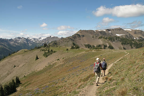 istock Hiking in the Mountains 185260546