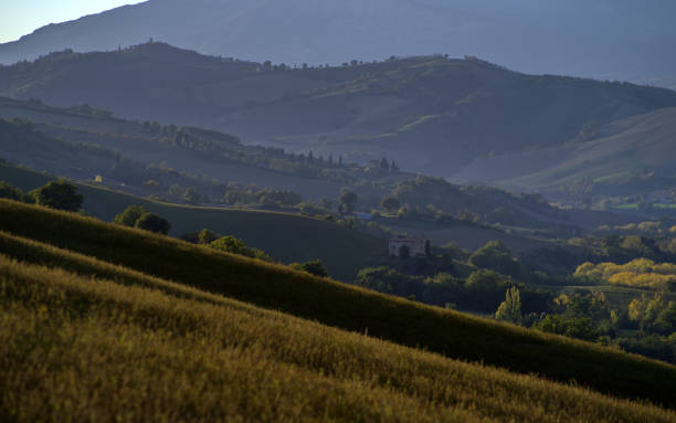 istock panorama of woods and hills 1852605565