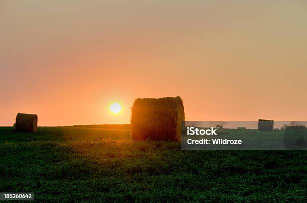 Hay Bale At Sunrise Stock Photo - Download Image Now - Agricultural Field, Saskatchewan, Agriculture