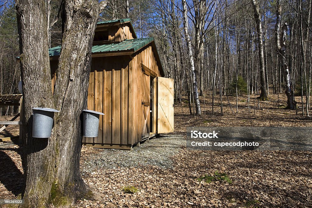 Waiting for the sap A sugar house in spring processing the maple sap into syrup Springtime Stock Photo