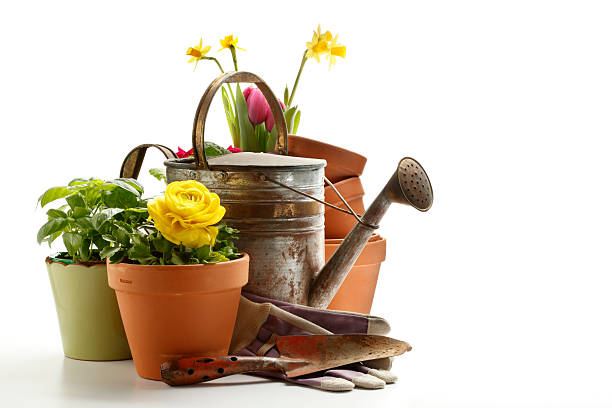 원예용 - flower pot gardening glove glove protective glove 뉴스 사진 이미지