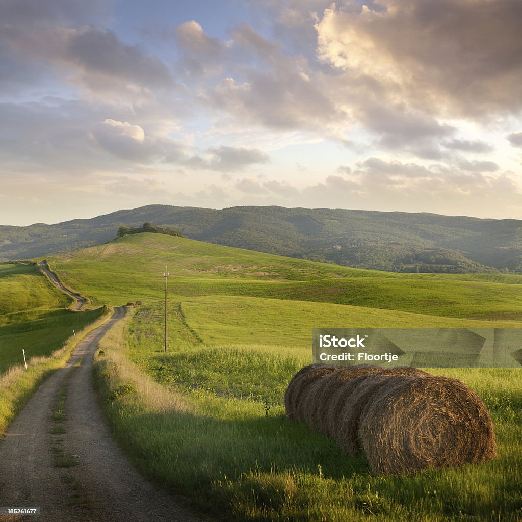 Italien: Tuscany - Lizenzfrei Heu Stock-Foto