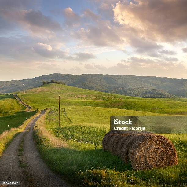 Itália Toscana - Fotografias de stock e mais imagens de Feno - Feno, Agricultura, Ajardinado