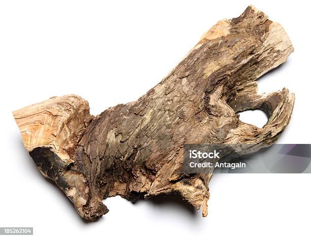Wood Stock Photo - Download Image Now - Driftwood, Moss, Root