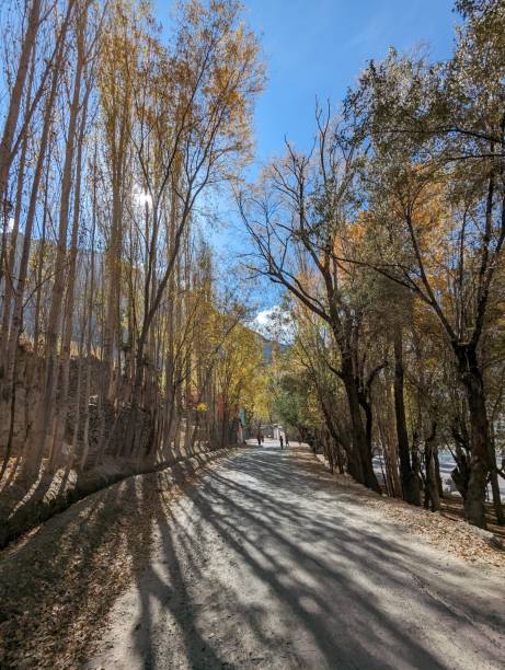 istock Autumn in Skardu 1852621733