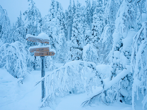 Frozen signage of hiking trails, Finnish Lapland, Levi.