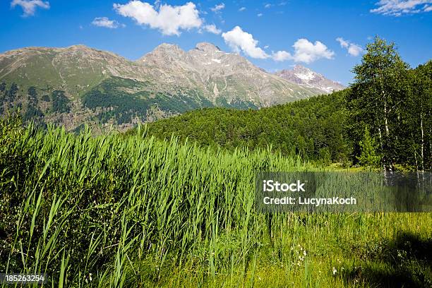 Foto de Verão Na Montanha e mais fotos de stock de Alpes europeus - Alpes europeus, Alpes suíços, Amarelo