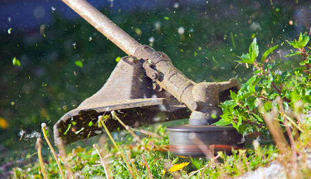 mowing - podador - fotografias e filmes do acervo